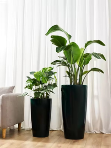 Pots de fleurs ronds en plastique PP de couleur ciment, grands, résistants et adaptés à l'intérieur et à l'extérieur - Product Image 4