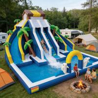Toboggan aquatique gonflable commercial en PVC, thème dauphin tropical, double piste, capacité 500 kg, garantie 3 ans pour l'eau