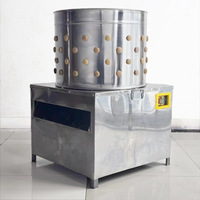 Nouvelle machine à plumer la volaille motorisée en acier inoxydable / Plumeuse à tambour pour poulets, cailles et pigeons, usage domestique, capacité 600 oiseaux/heure