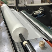 하이 퀄리티 45/48/55/60/65/70Gsm 감열지 점보 롤 400/565/795/1620mm 폭 감열지