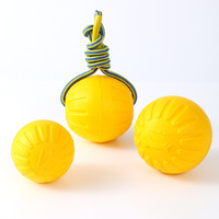 Jouets pour chiens en mousse EVA durables et écologiques - Saveur poulet, balles d'entraînement, anneaux à tirer et frisbees