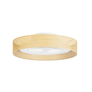 Modern 3-Color 18-Inch LED 6-Speed <b>Ceiling</b> Fans <b>Light</b> Smart Dimmable <b>Remote</b> <b>Control</b> Low Profile Bedroom Flush Mount DC Motor - Product Image 1