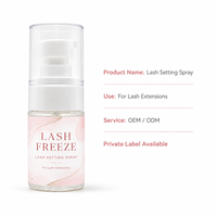 Spray Fixateur de Cils Lash Freeze pour Salons de Beauté, Fournitures d'Extensions de Cils, Vente en Gros en Marque Blanche Direct Usine