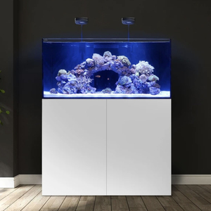 Wholesale 110 Gallon 4ft Ultra-clear Glass Marine Aquarium <strong>Fish</strong> <strong>Tank</strong> with Solid Plywood Stand - Product Image 6