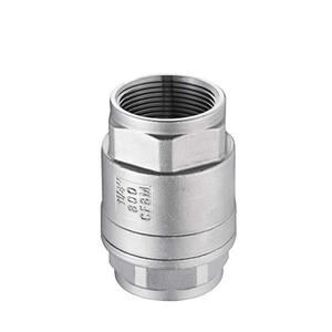 DN20 3/4 ''2 Pc NPT Gewinde 316 Edelstahl MM Typ Feder Vertikales Rückschlag ventil - Product Image 1