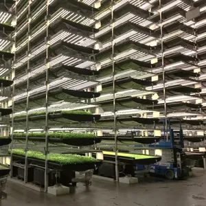 一温室农业水培NFT系统螃蟹垂直养殖蔬菜种植