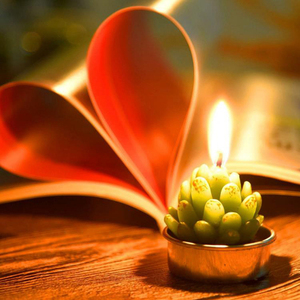 <span class=keywords><strong>Kit</strong></span> de bougies de plantes de Cactus succulentes décoratives, mignonnes bougies sans fumée, parfaites pour le Festival, les accessoires de mariage, la fête à la <span class=keywords><strong>maison</strong></span> - Product Image 6