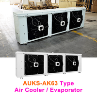 Refroidisseur d'air évaporatif haute performance AUKS 22,2 kW |   Réfrigération industrielle à basse température avec deux ventilateurs de 630 mm, fourniture d'usine