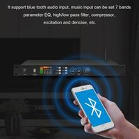Paulkitson K1800 Processeur audio professionnel Préprocesseur d'effets numériques Matériel métallique