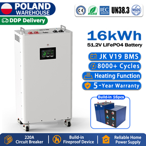 แบตเตอรี่ลิเธียม Lifepo4 ขนาด 16kWh 48V 51.2V ของ EU พร้อมใช้งานในสต็อก  8000 รอบการใช้งาน  พร้อมระบบจัดการแบตเตอรี่ JK V19 ในตัว  ใช้เซลล์ LFP เกรด A สำหรับ ESS - Product Image 1