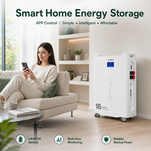 Batterie de stockage LiFePO4 solaire hybride empilable pour extérieur 16 kWh 51,2 V 314 Ah intelligente CAN/WIFI sans entretien et fiable - Product Image 6