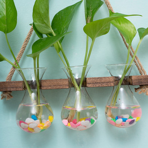 <span class=keywords><strong>Vase</strong></span> en verre transparent suspendu en <span class=keywords><strong>bois</strong></span>, <span class=keywords><strong>vase</strong></span> <span class=keywords><strong>mural</strong></span> hydroponique rétro créatif, décoration de salon, ornements, <span class=keywords><strong>vase</strong></span> <span class=keywords><strong>mural</strong></span> en verre - Product Image 5