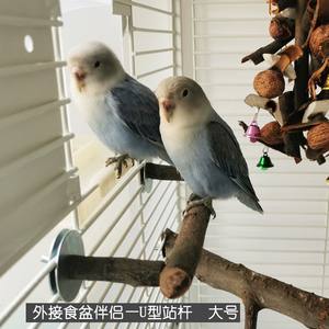 Solid Wood U-Shaped <strong>Bird</strong> <strong>Drinking</strong> Station Pole Durable Parrot Apple Wood Bowl Stand <strong>Toy</strong> Style <strong>Bird</strong> Feeding Stand with Food Bowl - Product Image 2