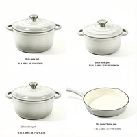 Ensemble de casseroles en fonte émaillée 5 pièces, compatible four, pour cuisinière à induction et gaz