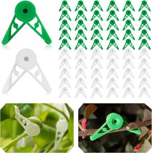 Pinces de pliage de plantes réglables, serre-tiges, écarteurs de branches d'arbres, pinces d'entraînement pour plantes - Product Image 1