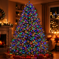 Guirlandes lumineuses LED multicolores de Noël, lumières féériques clignotantes avec minuterie pour la décoration extérieure de jardin, de mariage et de fêtes