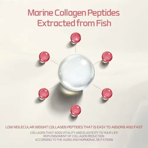 Suplemento de Belleza en Gel con Colágeno Tripéptido de Miel de Manuka de Moléculas Pequeñas, Vitamina C y Nido de Pájaro para Pérdida de Peso, OEM/ODM para Adultos - Product Image 5