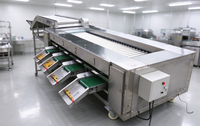 Machine de tri de fruits à rouleaux, machine de tri de fruits et légumes, machine de tri d'humidité pour 4 types de fruits secs