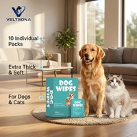 Lingettes pour animaux de compagnie écologiques, douces et durables, emballées individuellement, lingettes humides jetables XL, pour chiots, chatons, voyages, nettoyage à domicile