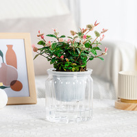 Pot de fleurs hydroponique auto-absorbant JQ Creative en résine plastique transparente durable pour petites plantes vertes (Pothos, Phalaenopsis)