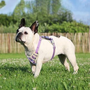 Pabrik desain baru rompi anjing mewah <span class=keywords><strong>Harness</strong></span> - <span class=keywords><strong>OEM</strong></span> kustom Padded reflektif, aman hewan peliharaan nyaman perlengkapan - Product Image 4