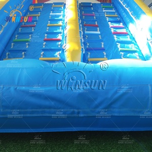 Tobogán Acuático Inflable WINSUN con Forma de Delfín, Doble Escalada Arqueada, Castillo Inflable Azul - Product Image 5