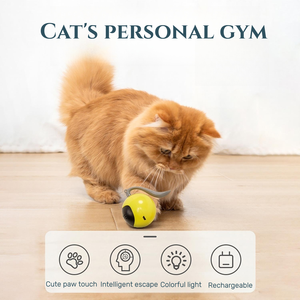 Penjualan Terbaik 2024 bola kucing otomatis berputar listrik USB interaktif mainan kucing - Product Image 2