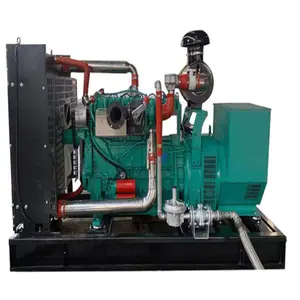 Generatore di corrente a vapore dell'attrezzatura del gas naturale di 6mw 200kw 30kw mwm con 1000kw 200kw e carburatore del gas per il generatore di benzina