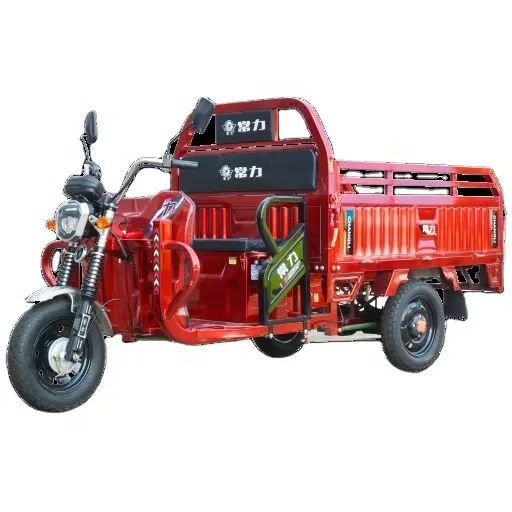 Char li camion puissant moteur agricole 1000w moteur 60V52Ah batterie plomb-acide Tricycle électrique pour adulte