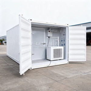 Les fournisseurs utilisent des conteneurs réfrigérés écoénergétiques pour le stockage congelé d'énergie solaire et de produits agricoles - Product Image 3