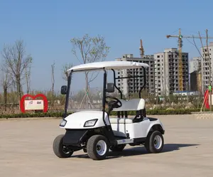 Wholesale Hotel Club Car Lifted 2 Passenger Electric Golf Cart Best Selling Off Road Golf Cart