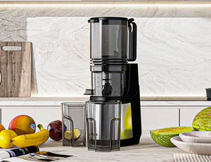 <span class=keywords><strong>Extracteur</strong></span> <span class=keywords><strong>de</strong></span> <span class=keywords><strong>jus</strong></span> puissant 250W à large ouverture en acier inoxydable pour légumes et fruits - Product Image 6