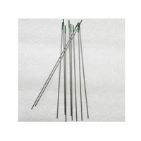 Electrodo de Soldadura TIG de Tungsteno M&J WP Modelo 1.2mm*175mm AWS A.5.1 E6013, Corriente Operativa de 150-280A para Herramientas de Soldadura TIG