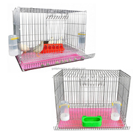 Cages automatiques YYC pour la production d'œufs de cailles, cages à œufs de cailles avec plateaux de récupération des œufs et des déjections