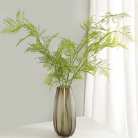 Huahuan DIY Bunga Asparagus Fern Kering Alami Multiwarna untuk Dekorasi Rumah, Pernikahan, Hari Valentine, Dinding Bunga Ramah Lingkungan