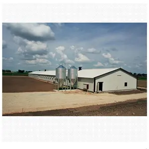 Сборный недорогой портальный каркас, стальная конструкция, птичник, куриная ферма, дом для 10000 цыплят