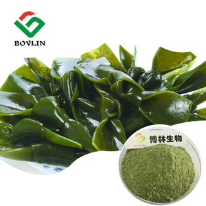 مسحوق مستخلص الطحالب البحرية العضوية بالجملة، مسحوق طحالب بحرية طبيعي عالي الجودة - Product Image 1