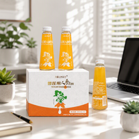 Yacon en Ginseng Drankjes Geschenkset 4-pack Echt Fruitsap Zonder Kunstmatige Kleurstoffen Klaar om te Drinken 280ml Premium Verpakking
