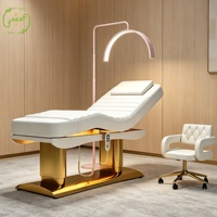 Table de massage électrique, lit de beauté pour salon de coiffure et cosmétiques, lit de spa facial électrique inclinable