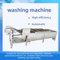 XIYUAN Automatische Luchtbel Fruit- en Groentewasmachine met Nauwkeurige Temperatuurregeling voor Restaurantgebruik, Maïsverwerking, Nieuw