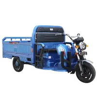 Aprovado CEE COC elétrica triciclo de carga grande triciclo elétrico Triciclo de Carga Elétrica Trikes Deriva modelo de veículos pesados de mercadorias
