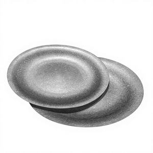 Assiette de dîner américaine en acier inoxydable, style rétro de luxe léger, avec logo personnalisé, pour barbecue commercial, directement de l'usine - Product Image 6