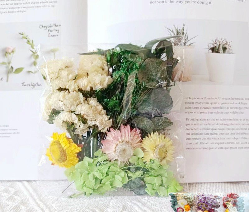 Vert Aléatoire Fleur Séchée Matériel 1 Sac