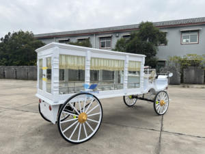 Cercueil funéraire rustique noir, voiture funéraire électrique, cercueil funéraire tiré par des chevaux à vendre - Product Image 4