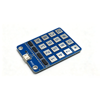 Module de clavier capacitif Zetok 4x4 Matrix à 16 touches pour projets de sécurité de serrures de porte