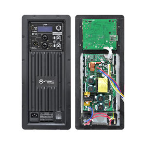 Accuracy Pro Audio <span class=keywords><strong>TD3</strong></span> Modulo Amplificatore Professionale da 500W per Mixaggio con Piastra di Potenza DSP PA - Product Image 1