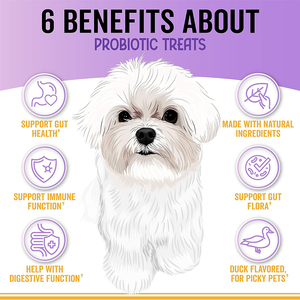 Oem Merk Label Zacht Kauwt Huisdiervoer Probiotica Voor Honden Spijsvertering Darm Gezondheidszorg Supplement - Product Image 6