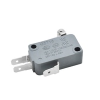 125V/250V 16A 25A micro-interrupteur SPDT bouton d'action à pression Micro interrupteur de fin de course pour four à micro-ondes