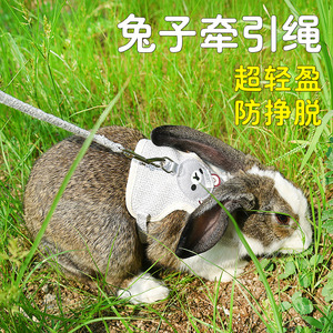Rabbit Harness Adjustable Vest Style Leash With Cartoon <b>Bear</b> Design For Small Pets Outdoor Walking - Product Image 4