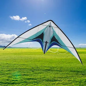 Kite personalizado fornecedor stunt kite para venda atacado de alta qualidade ao ar livre dupla linha kite